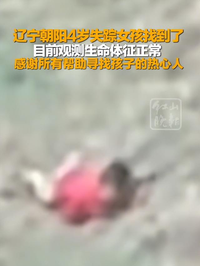 辽宁4岁失踪女童找到！在隔壁村山沟，离失踪地10公里，细节曝光