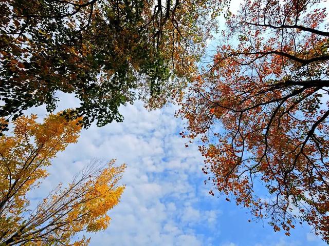 莲城秋意浓，景色美如画