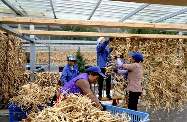 "咔嚓！"→文县