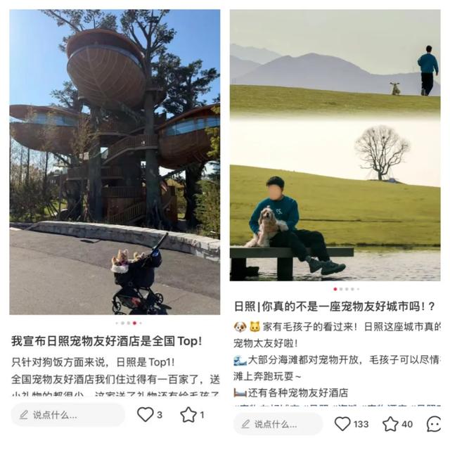 日照:被低估的宝藏滨海小城,极致演绎诗意与浪漫