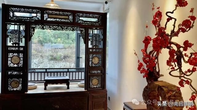 湾里揽胜:蟠龙峰下茶养云