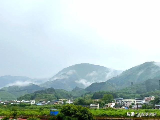 湖洋田里寻童趣