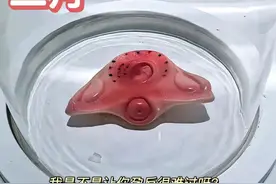 怀胎十月，胎儿是怎么慢慢长大的？一组3D图告诉你生命的神奇图片