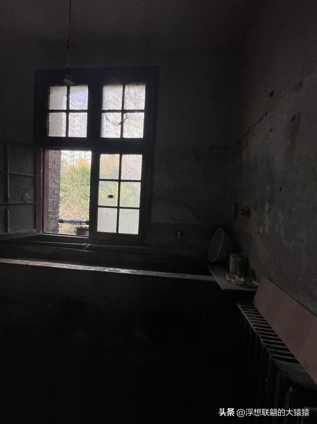 俺那天进齐鲁大学里面来了一场时空旅行（山东大学趵突泉校区）