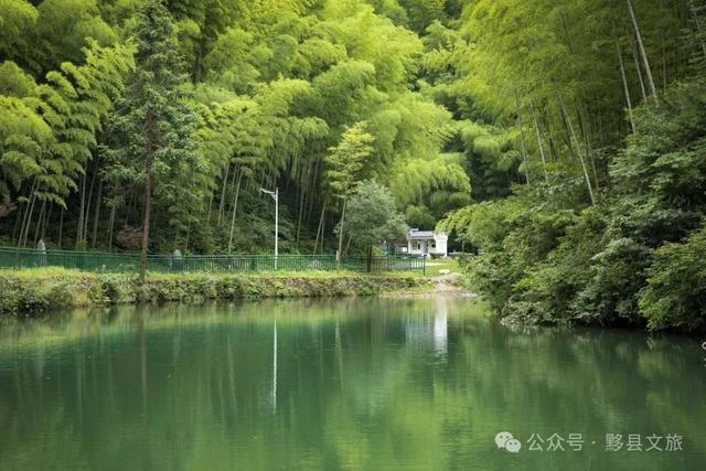 秋养冬藏看黟川—初秋游黟县，这份接地气的养生攻略请收好 | 皖美夏日