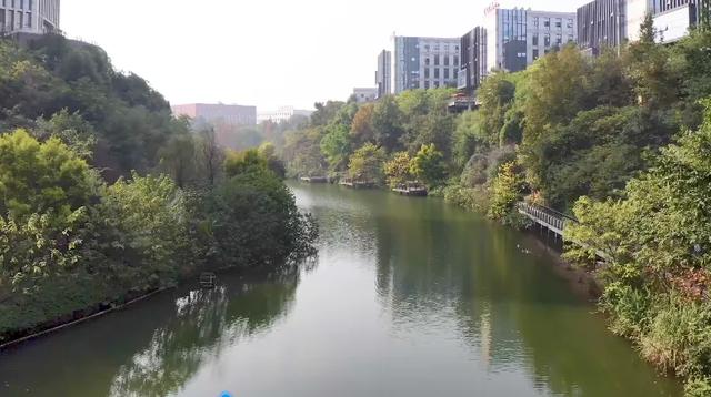 最高气温20℃！重庆人快来这些公园晒太阳