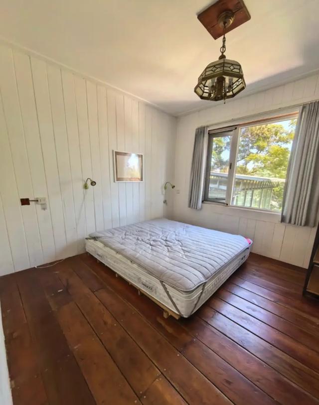 50岁龚琳娜独居深山，房子后面是一片坟地，离婚后养猫为伴不害怕