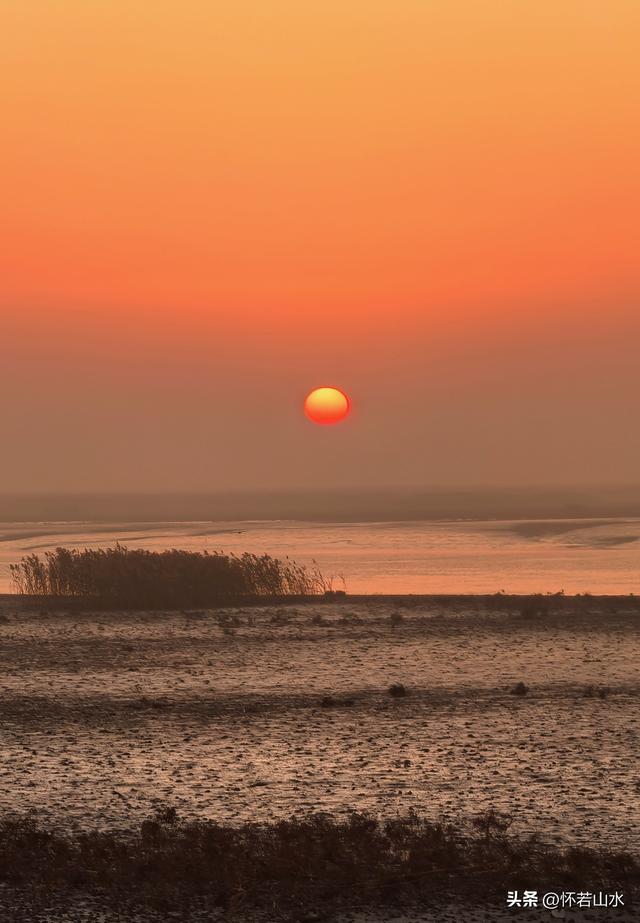 2025辽宁赏秋之旅日记(6)——到辽河口中国最北海岸线看日出 观鸟