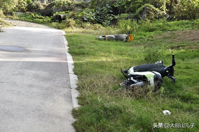 郑州：高铁公园这些共享电动车谁扔的