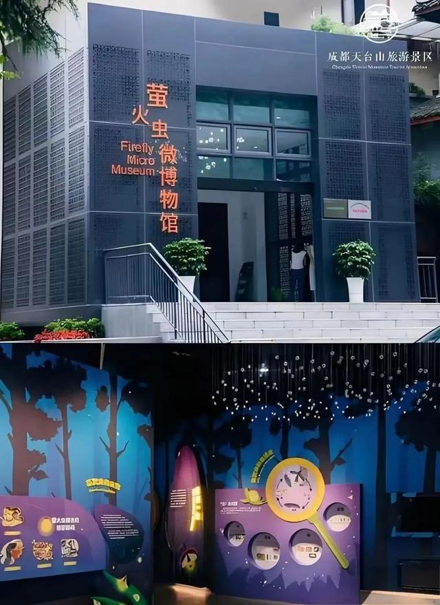 共享夏日约丨亲子趣相伴