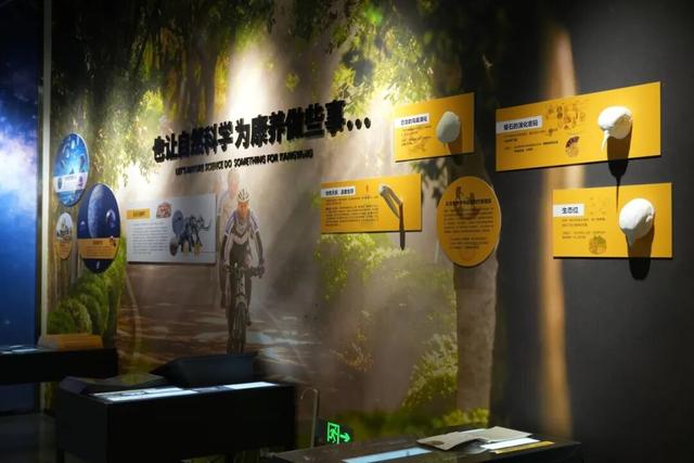 临沂初冬“热”出圈！打卡攻略赶紧码