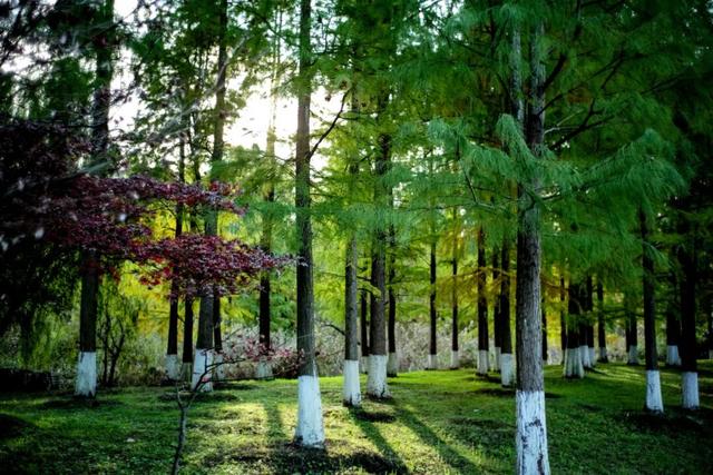 这个“名牌加身”的西南山城，正适合淡季来玩！