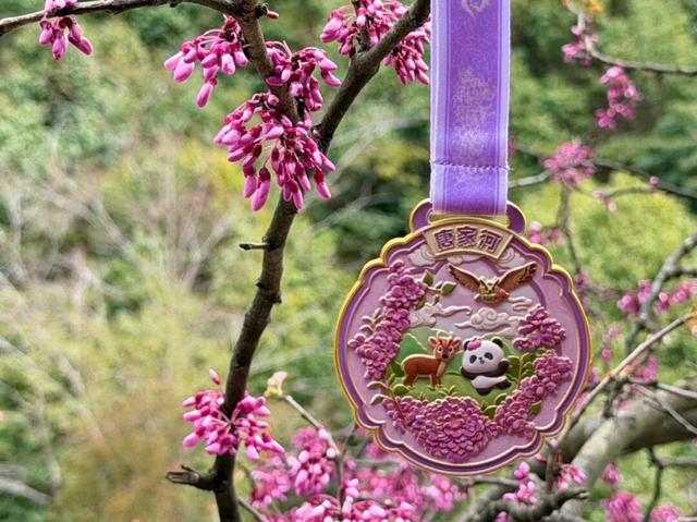 广元不远 周末优选 | 又是紫荆又是奖牌的，唐家河你成功引起了我的注意！