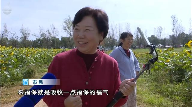 快码住！这里藏着秋日童话世界，出片率100%