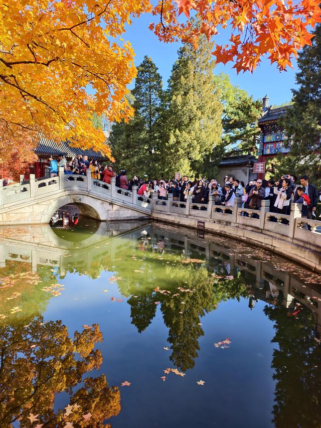 北京的秋是七彩的