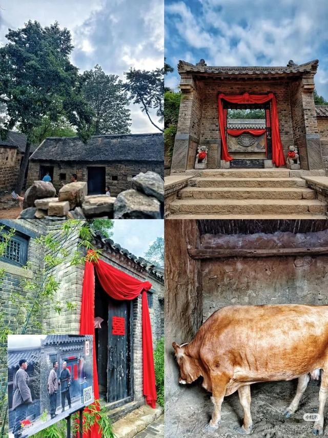 追《生万物》影视同款风情一日游，打卡爆火取景地临沂