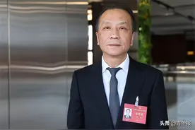 两会现场｜“青椒们”看过来，代表严伟建议：有“非升即走”，也可以有“非走不升”图片