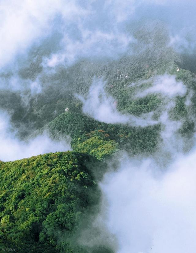 周末可往返！重庆七八月份必去的清凉好去处推荐！重庆避暑的首选