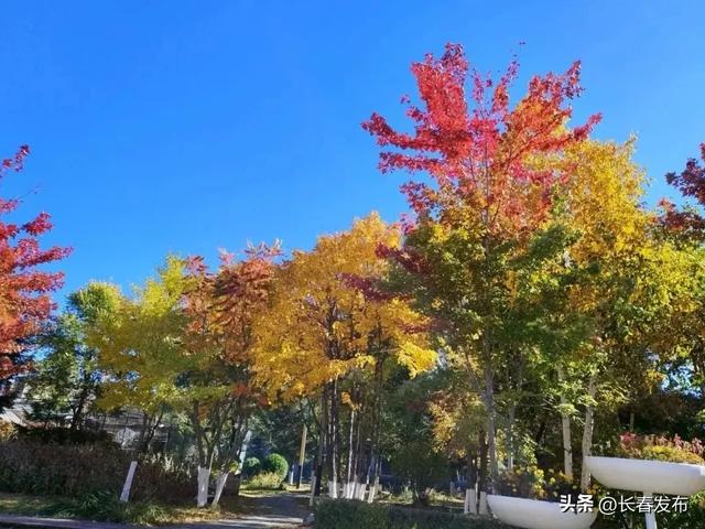 走进长春!150个网红打卡地之胜利公园