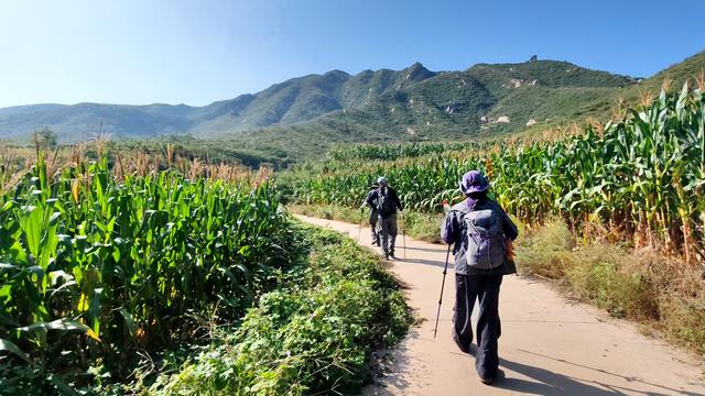 长峪村五峰山后山行记