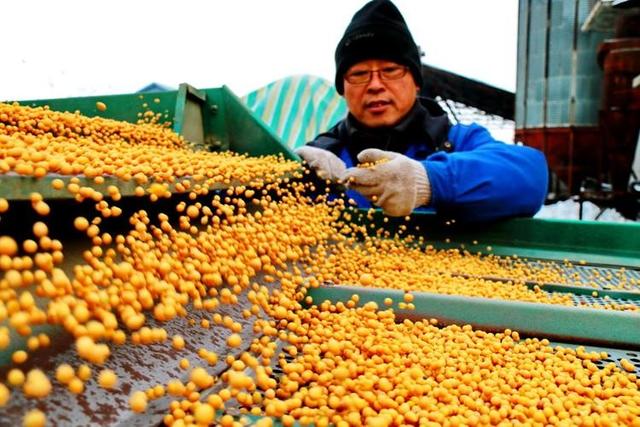 宁愿赔钱也要把粮食卖中国！美国的粮食垄断梦，如何被中国瓦解？