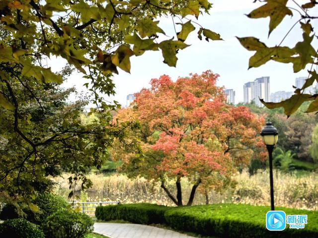 浞景无边，快乐亦无边~