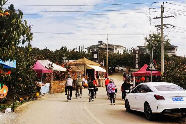 桂林：不入柿园，怎知秋色几许！