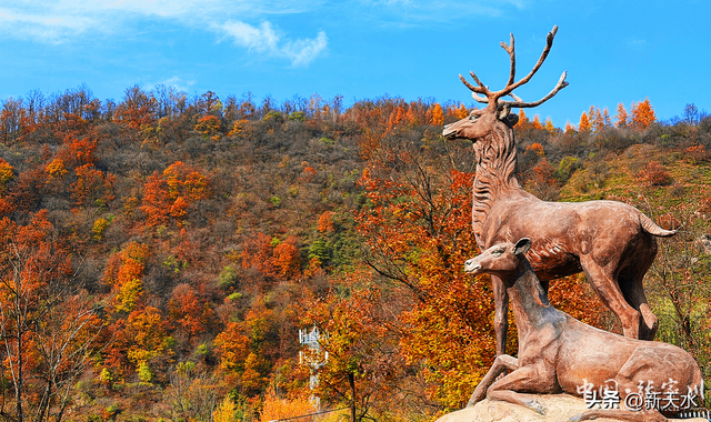 秋韵未歇：张家川山水的立冬回眸