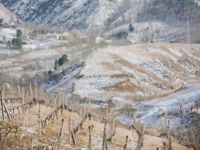 打卡诗意蓝田！私藏宝藏旅游地（三）