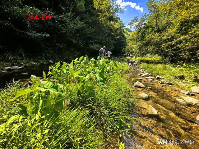 溯溪玩水环游线路：石井溪、县溪、竹林溪，三溪溯游