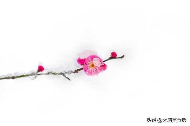 “不怕大雪阴一天，就怕大雪一天晴”	，明日大雪，晴天有啥预兆？