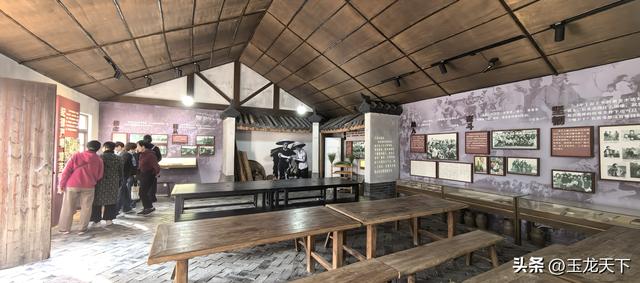 晨光与深呼吸：在同里湿地公园的万步悠然