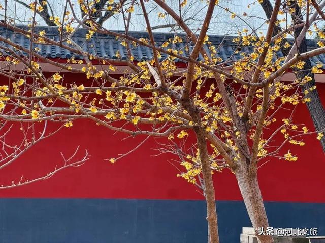 "奔县"首选!来这儿就对了!