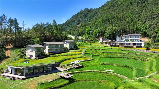 明月山巴谷宿集：梯田映民宿，生态绘就共富路 #重庆垫江