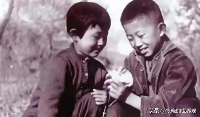 “人间异类”陈瑾：20年不吃米饭，与哥哥相约一生不婚不育