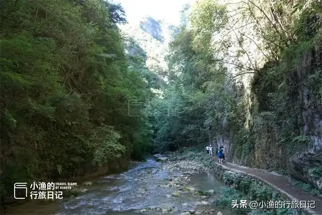不用爬山！陕南原生态峡谷，瀑布吊桥、一步一景，景美休闲人不累