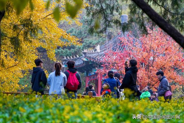 香山红叶节圆满落幕 接待游客超过85万人次