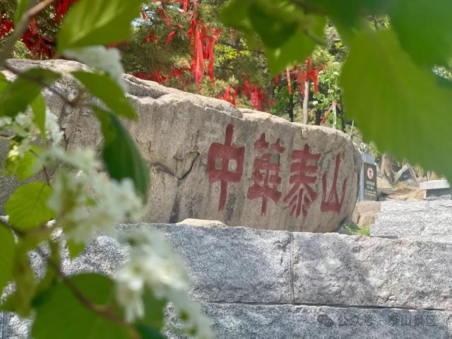 泰山中天门：春末夏初的绮梦之境