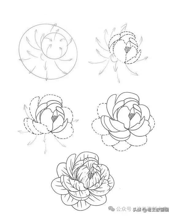 有手就能画！花卉简笔画教程