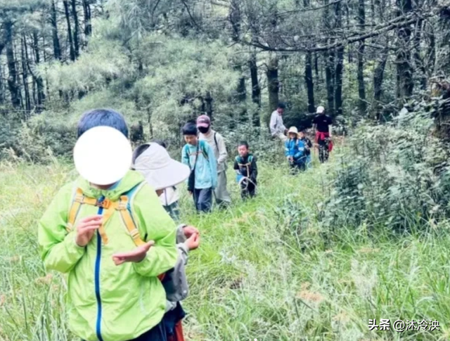 苍山自闭男孩遇难！离走失点一公里，知情人发声，难怪迟迟找不到