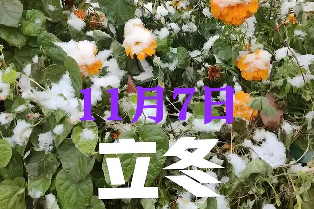 11月7日立冬，"上午立冬柴米空 下午立冬单衣冬"，今年立冬在哪？