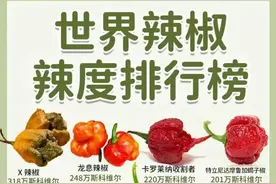 🔥全球辣椒辣度排行榜！你敢挑战吗？🔥图片