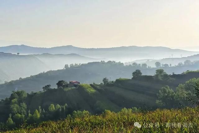 雪玲子：我是蓝川常在的云