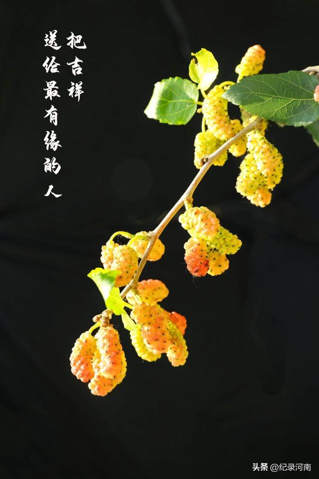 是时候恢复主流媒体的舆论监督力度