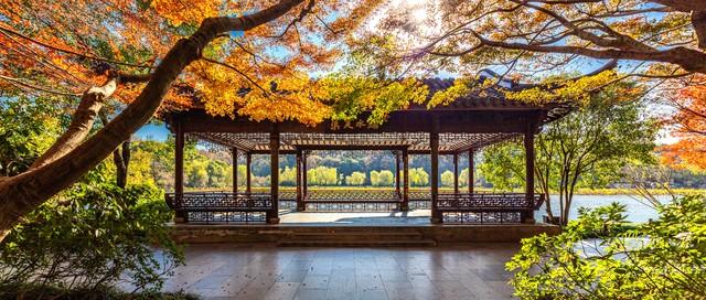 杭州的秋天都藏在这5家民宿里！桂花、银杏、红枫，美成童话！