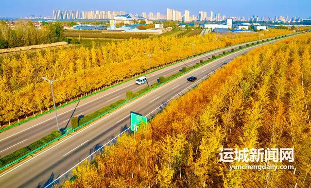 运城秋日的N种浪漫