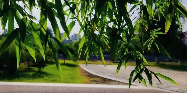 大美泌阳：梁河两岸 繁花盈岸