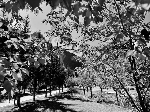 去捕捉秋的痕迹，一键点亮贵清山遮阳山景区的秋天！