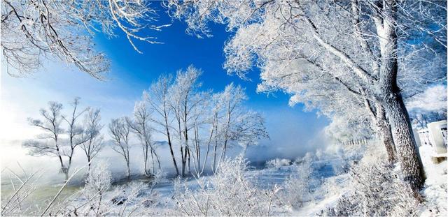 当肉夹馍邂逅锅包肉：双城共绘冰雪“丝路”新篇章