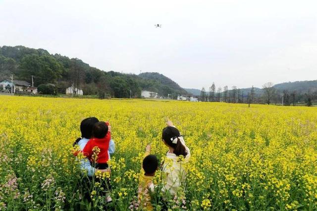 七彩油菜花开时，网红游客竞相来
